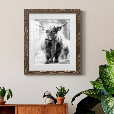 " Yorkshire Highland " Print