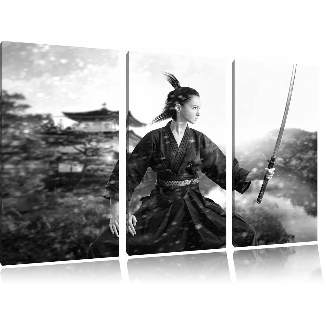 3-tlg. Leinwandbilder-Set „Samurai-Kriegerin im Morgengrauen“, Fotodruck