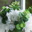 Arrangement floral pivoines dans un vase
