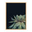 «Succulent 8» par Emiko et Mark Franzen, reproduction d'art sur toile encadrée-530826224-474696414