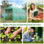 Walton Greenhouse-26700086
