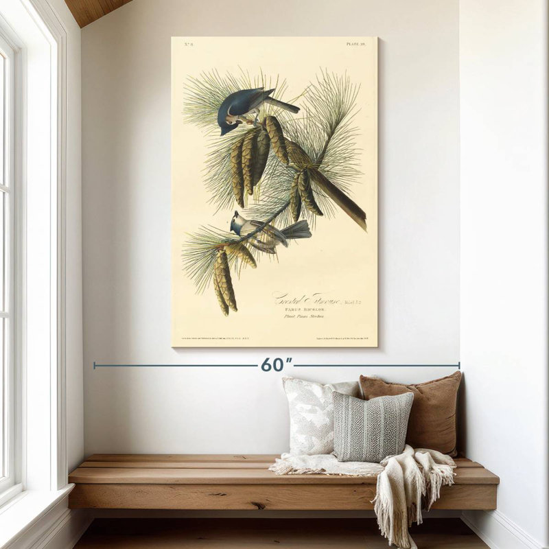 Brampt Crested Titmouse, 51" H x 34" W