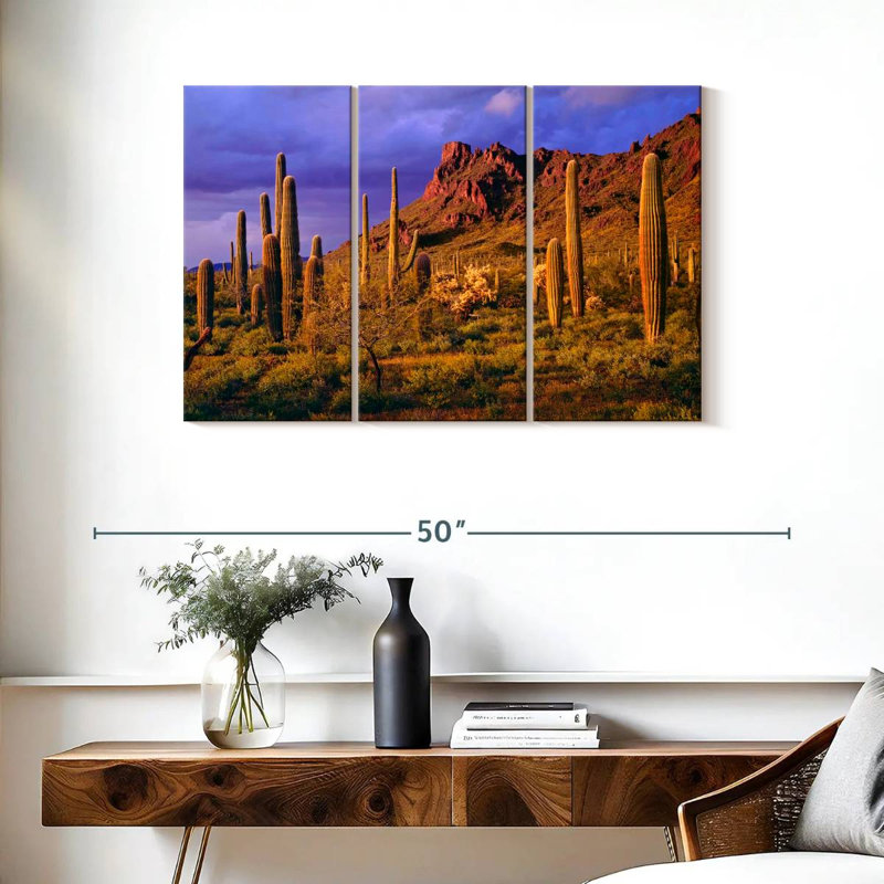 Harnek Arizona Cactus Plants, 24" H x 38" W