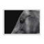«Rest» par Nathan Larson, reproduction d'art-131109254-131109261-131109264
