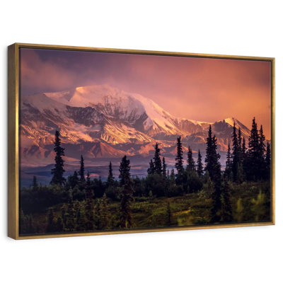 Denali et forêt Denali