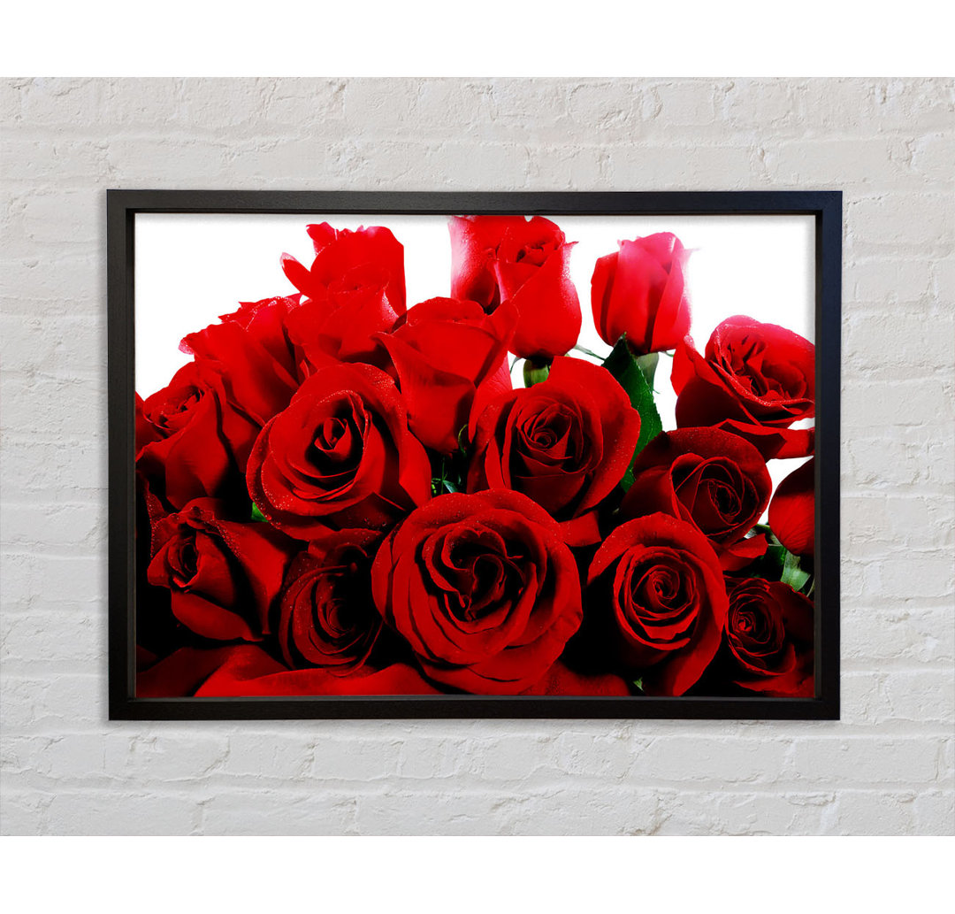 Bouquet Of Red Roses - Single Picture Frame Kunstdrucke auf Leinwand