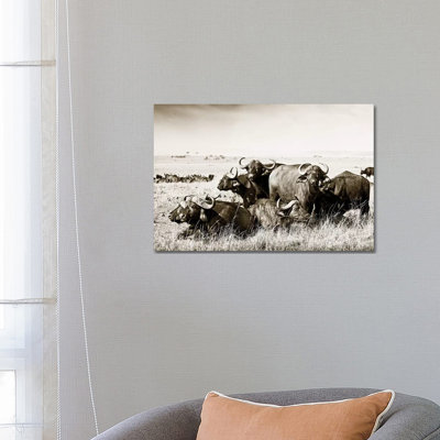 Allied Buffaloes 1 Piece Wall Art on Canvas