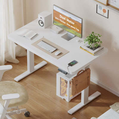 48" Solid Tabletop Dual Motor Electric Height Adjustable  Standing Desk