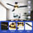 Graceanne 60'' Ceiling Fan with LED Lights-772862628