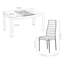 Dining Set-1996896626
