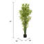 Ensemble de plantes Nadia-132797842-132797843
