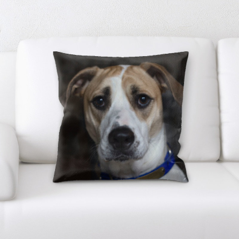 Coussin pour chien