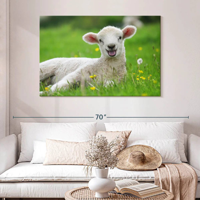 Brampt Funny Lamb, 32" H x 48" W