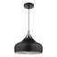 Nataly 1 - Light Dome Pendant-33681010