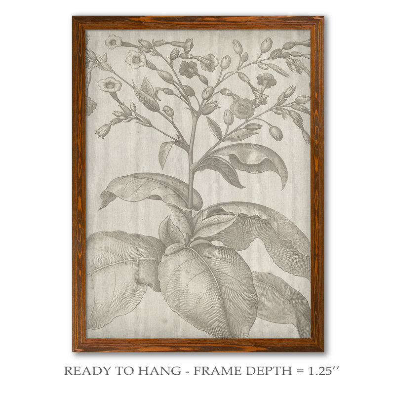 «Classic Romance I» par Paul Cezanne - reproduction d'art encadrée, H 28 po x l 38 po x 1,25 po, Toile avec cadre érable