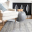 Tapis intérieur / extérieur gris Catharine-1255190605