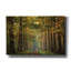  «Time of change» par Martin Podt, art mural sur toile, 40 po x 26 po-562454443
