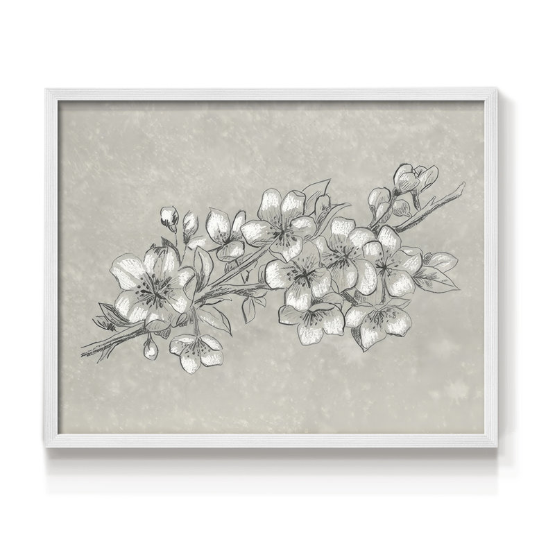 Petal Contrast II -Framed Print - Restickable, 8" H x 10" W, White