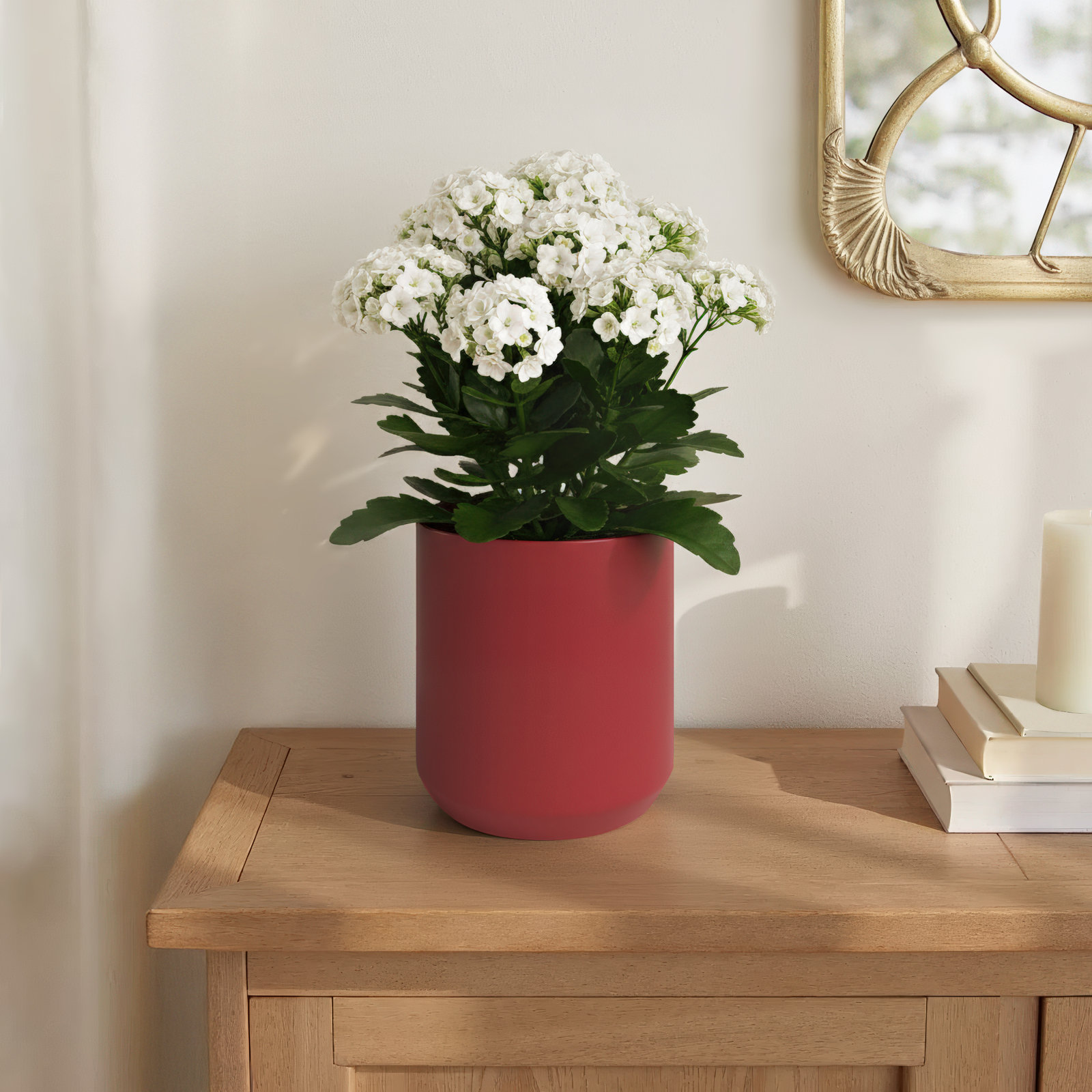 Parsons Ceramic Pot Planter, 9'' H x 8.5'' W x 8.5'' D