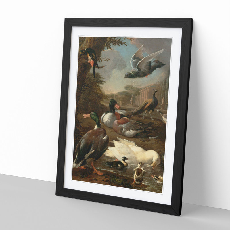 Collection of Birds Vol.2 by Melchior D'Hondecoeter - Picture Frame Painting, 48cm H x 36cm W x 2cm D, Black Framed