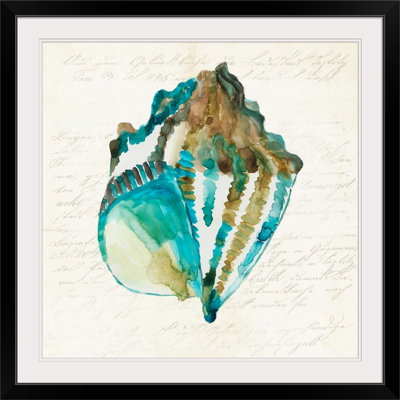 «Shell», impression