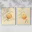 «Dappled Oranges III», reproduction encadrée de qualité supérieure - prête à être accrochée - aucun clou requis - aucun clou requis-204122232-204122239