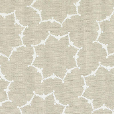 Exclusive Prints and Wovens Cotton Blend Fabric