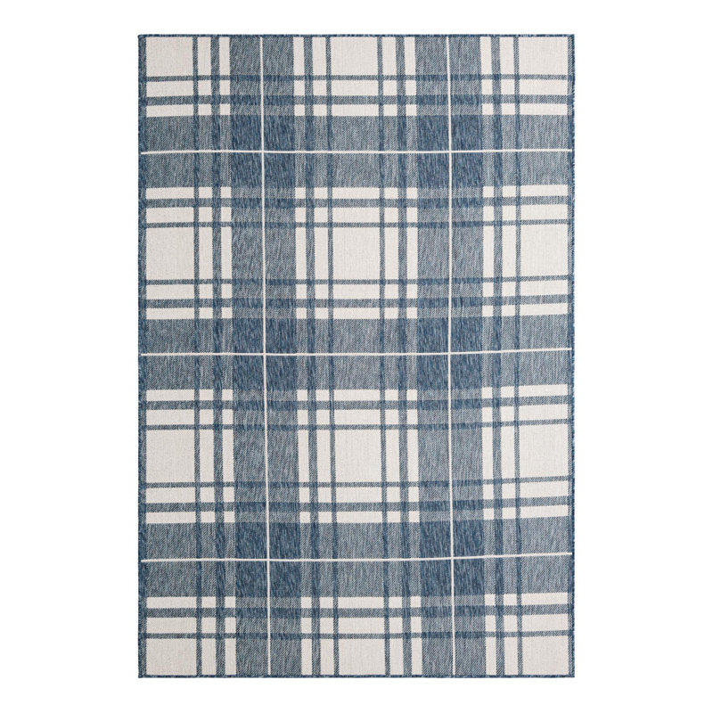 Tereon Plaid Machine Made Power Loom Polypropylene Plastic Indoor/Outdoor Area Rug in Blue/White, Rectangle 6'1" x 9'