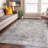 Kromer Oriental Machine Washable Red/Beige Area Rug-1391788765