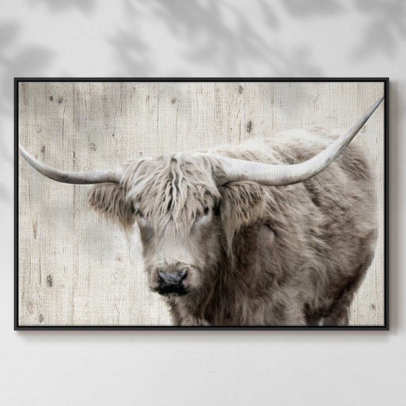 Toile tendue encadrée Longhorn, H 17 po x l 25 po x P 2 po, Noir