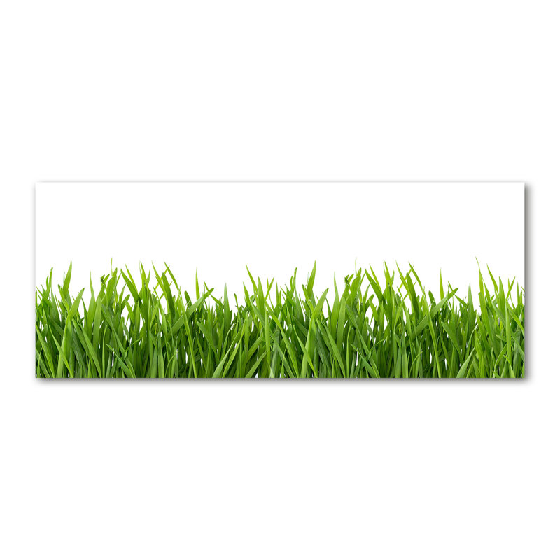 Grass - Wrapped Canvas Print