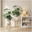 30 "plante tropicale artificielle feuille d'alocasia avec pot blanc 2pc / ensemble