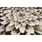 Vidrine Floral Indoor Rug-916375055