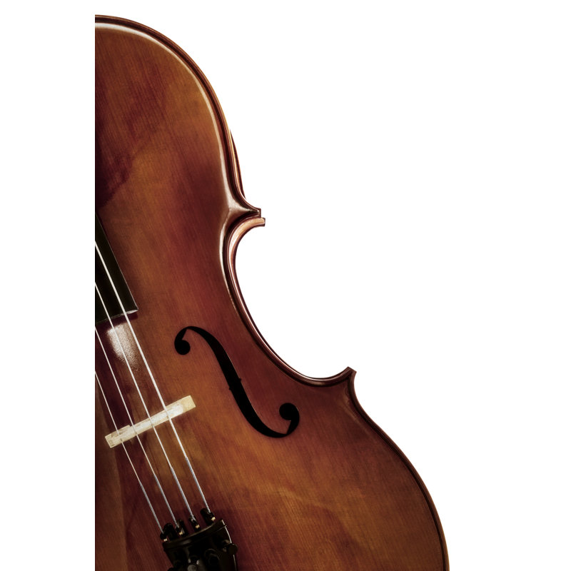 Cello Over White - Wrapped Canvas Print, 30cm H x 20cm W x 3.8cm D