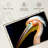 Peach Pelican Profile-107887178