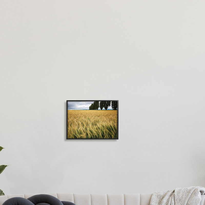 Récolte de blé dans un champ champêtre - photographie, H 11 po x l 14 po, Giclée encadrée blanc bord de mer