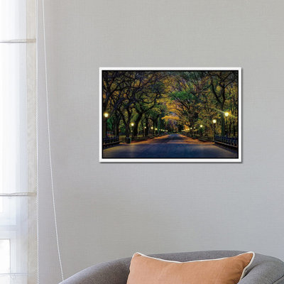 Central Park Magic by David Gardiner - Print on Canvas
