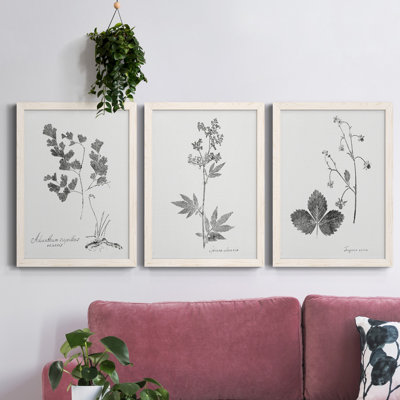 «Botanical Imprint I», ensemble de 3 peintures sur toile encadrées