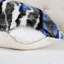 Abstract Square Throw Pillow Cover-1520878779-1520878778