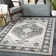 Amanah Oriental Indoor Rug
