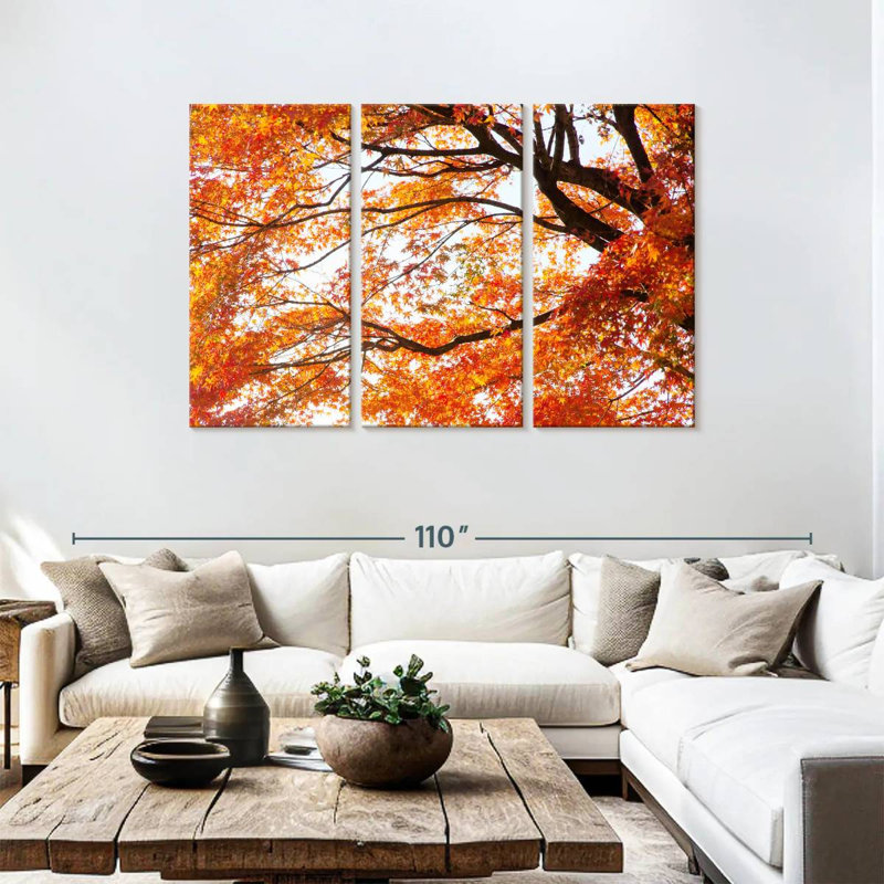 Alvord acer Palmatum en automne, H 48 po x l 74 po