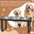 Elevated Feeder-55968991-55968989
