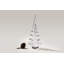 Spruce Evergreen-130438600