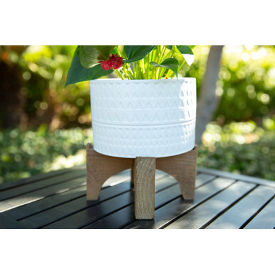 Beartree Ceramic Pot Planter