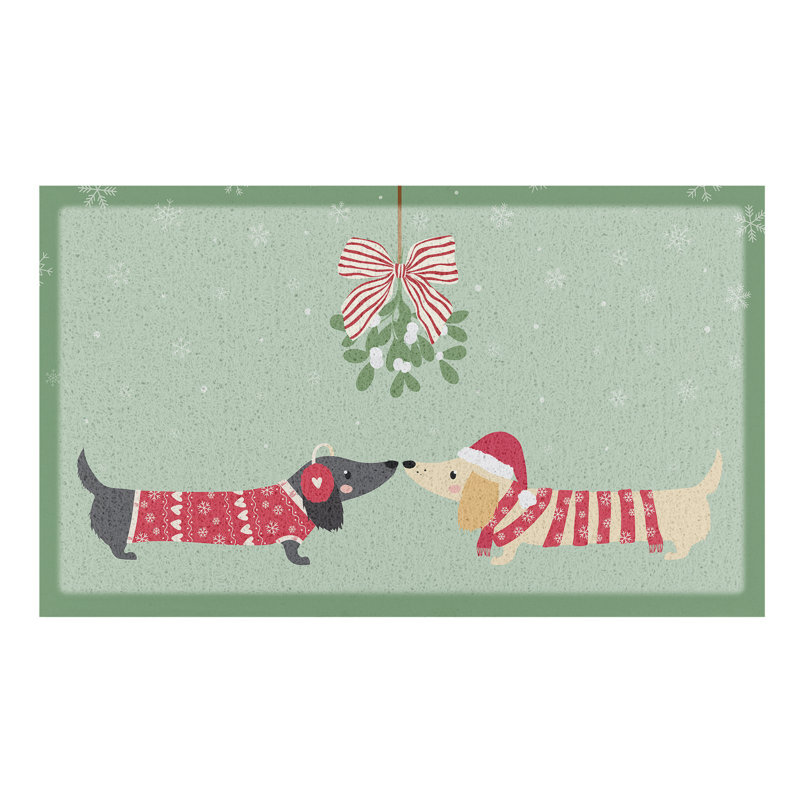 Non-Slip Doormat, 40cm W X 70cm L