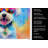 Bichon Frise Hippie Dawg Kitchen Towel