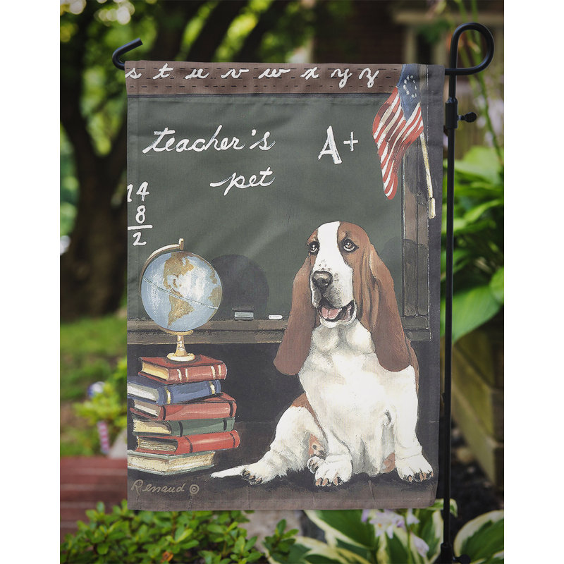 Drapeau de jardin en polyester à 2 côtés Graziello Bichon Frise Do It Better 1 x 0,11 pi, Basset hound chouchou du prof