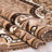 Oriental Indoor Rug-18774142
