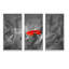 Sigle Red Poppies - ensemble de 3 reproductions d'art encadrées sur toile-1424303754-1424303757