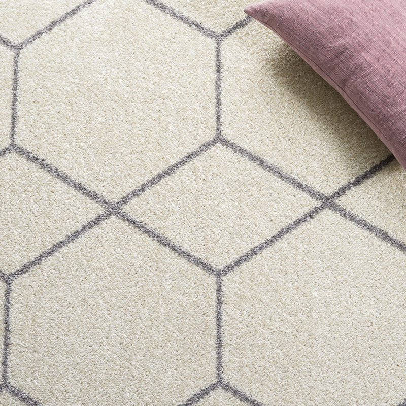 Tapis ivoire / gris Kasturi 608, Rectangle 5 pi 5 po x 7 pi 7 po